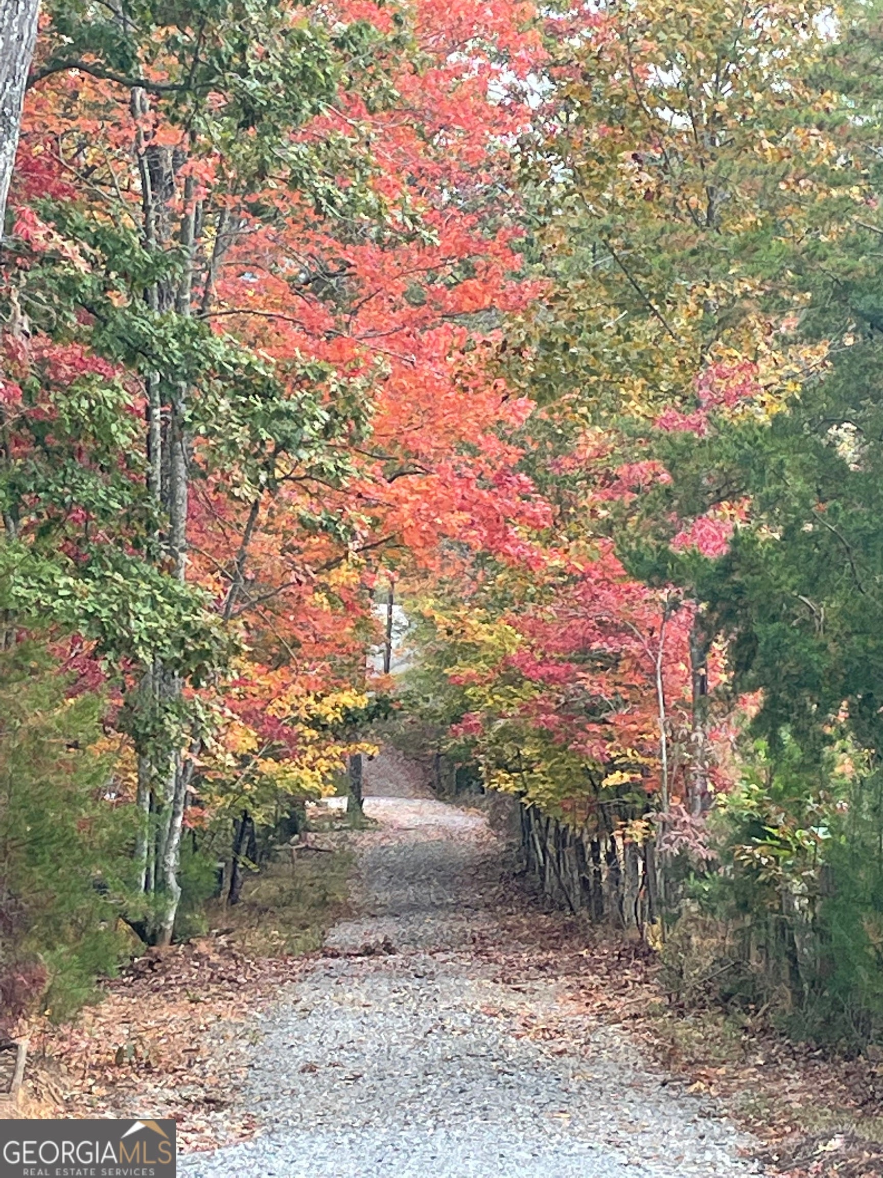 Morganton, Georgia, 30560, United States, 4 Bedrooms Bedrooms, ,4 BathroomsBathrooms,Residential,Active,1853343