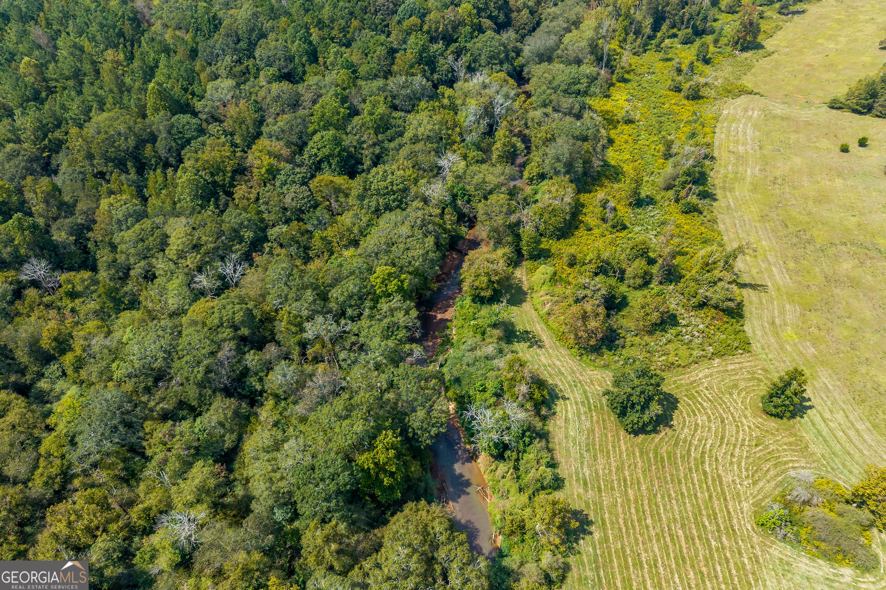 Commerce, Georgia, 30529, United States, 4 Bedrooms Bedrooms, ,3 BathroomsBathrooms,Residential,Active,1963280