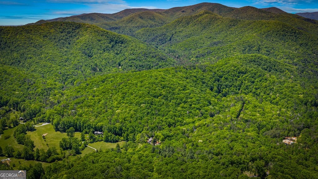 Cherry Log, Georgia, 30522, United States, 5 Bedrooms Bedrooms, ,5 BathroomsBathrooms,Residential,Active,2045694