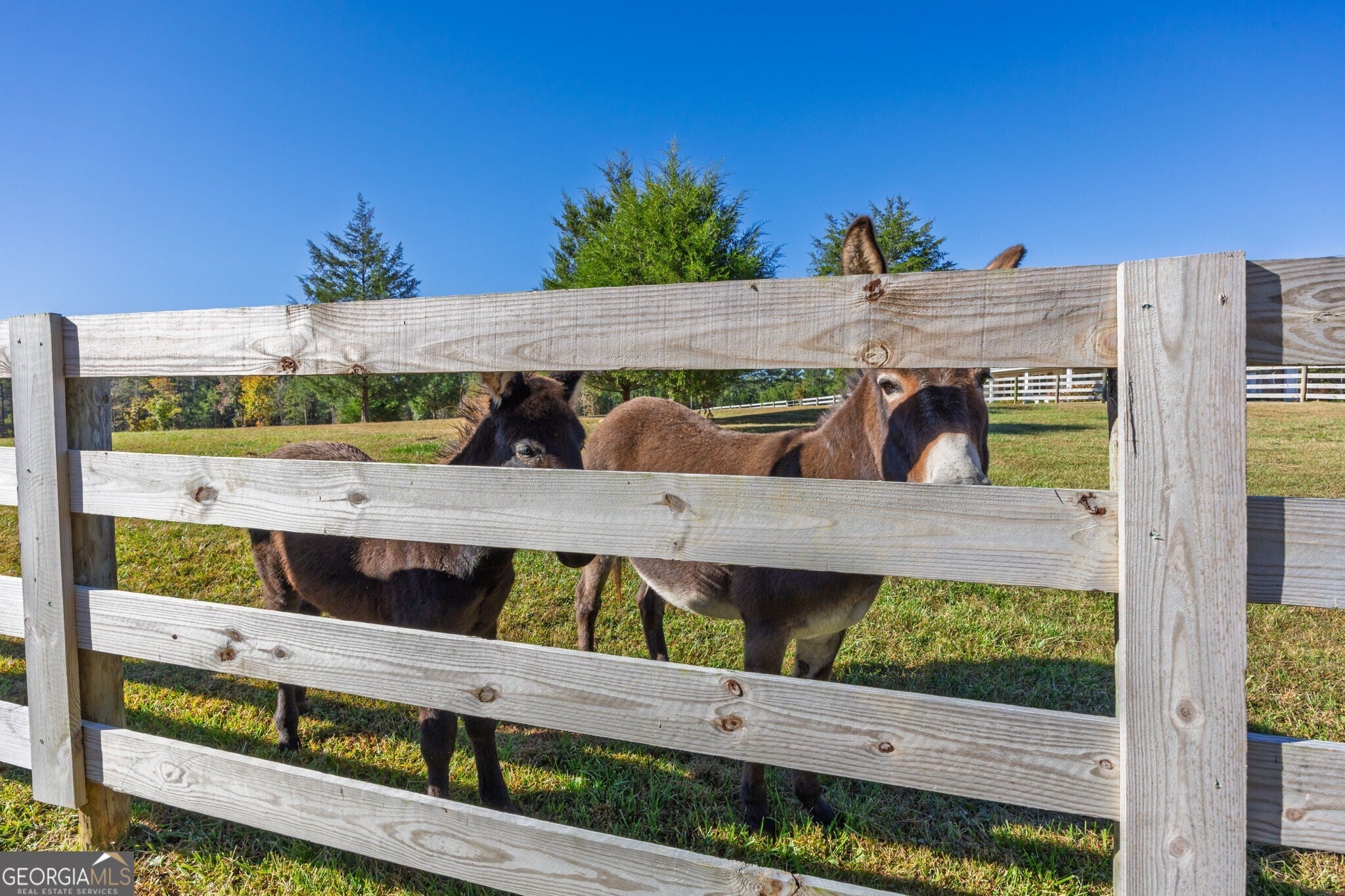 Rydal, Georgia, 30171, United States, 5 Bedrooms Bedrooms, ,5 BathroomsBathrooms,Residential,Active,1987251
