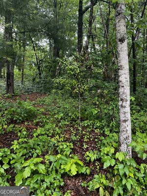 LOT 9 MCRIDGE DRIVE, HIAWASSEE, GA 30546 - Image 1