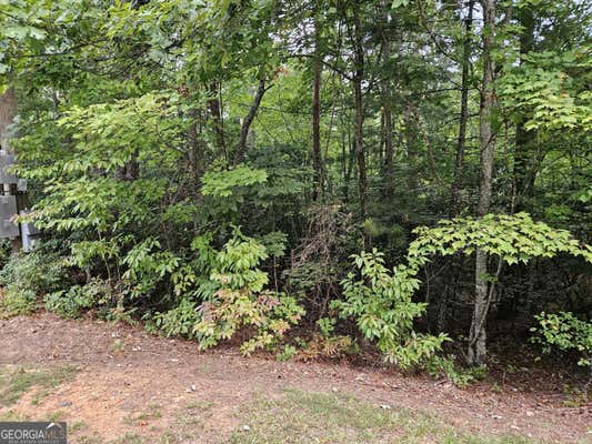 0 FISCHER STRASSE # LOT 20, HELEN, GA 30545 - Image 1