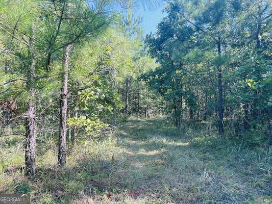 0 COUNTY ROAD 235 # TRACT 4, LEESBURG, AL 35983 - Image 1