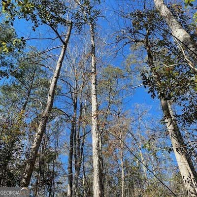 100+/- ACRES PINEVILLE ROAD, BUENA VISTA, GA 31803 - Image 1