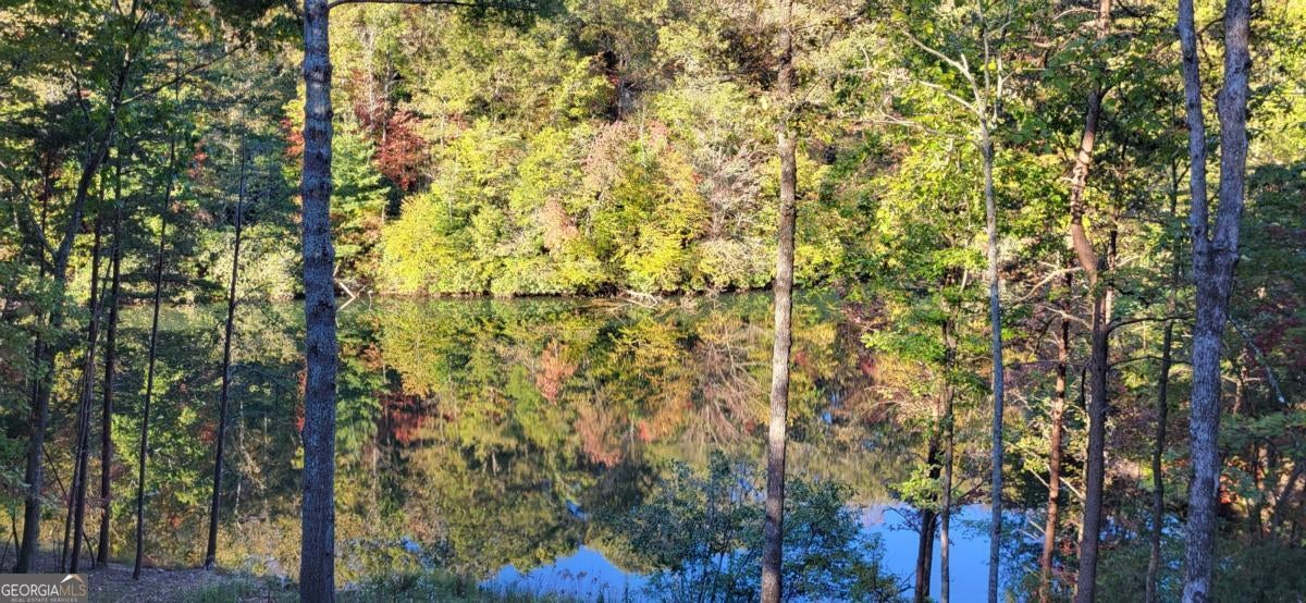 Ellijay, Georgia, 30540, United States, 4 Bedrooms Bedrooms, ,3 BathroomsBathrooms,Residential,Active,1971791