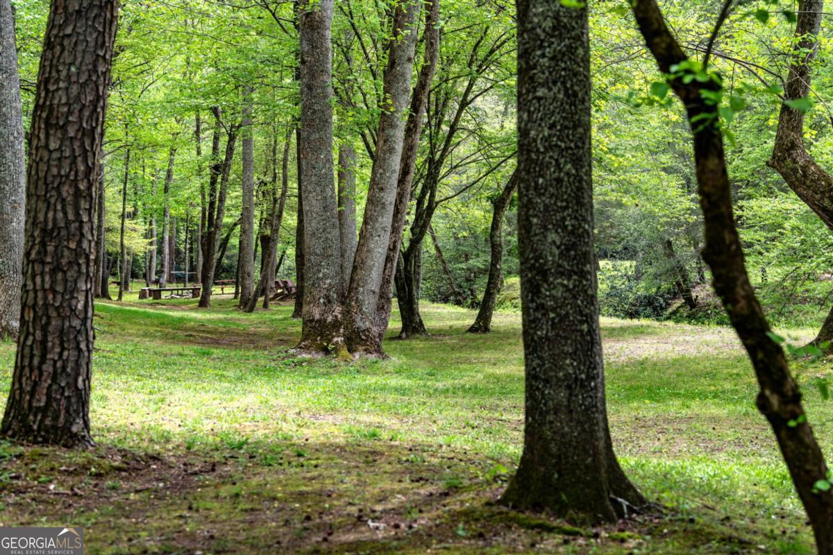 Ellijay, Georgia, 30536, United States, ,4 BathroomsBathrooms,Residential,Active,1806919