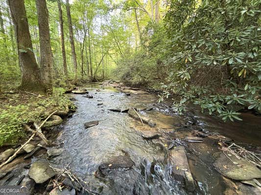 LOTS 5 & 6 MT SPRINGER ROAD, ELLIJAY, GA 30540 - Image 1