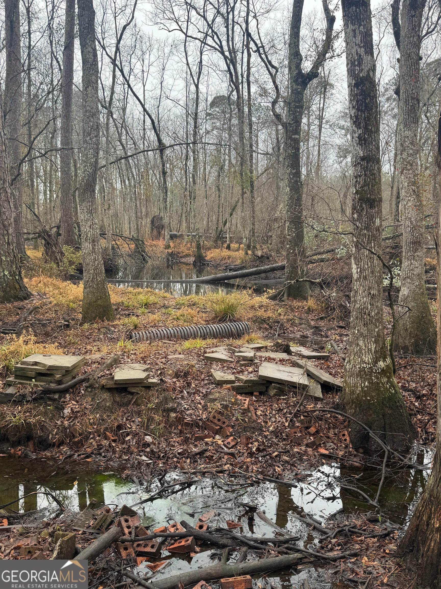 Portal, Georgia, 30450, United States, 5 Bedrooms Bedrooms, ,4 BathroomsBathrooms,Residential,Active,2015440