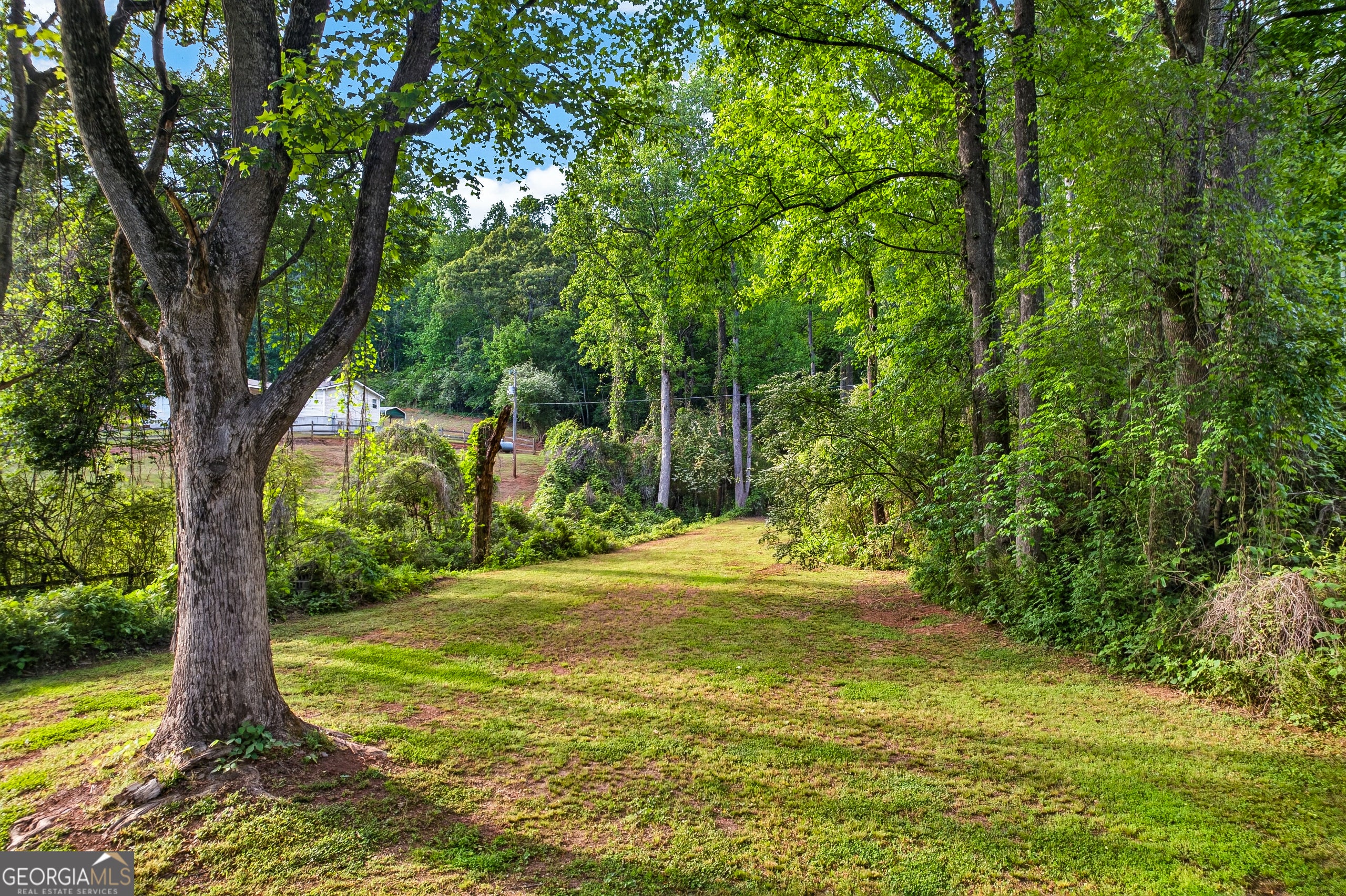 Dahlonega, Georgia, 30533, United States, 5 Bedrooms Bedrooms, ,4 BathroomsBathrooms,Residential,Active,2044583