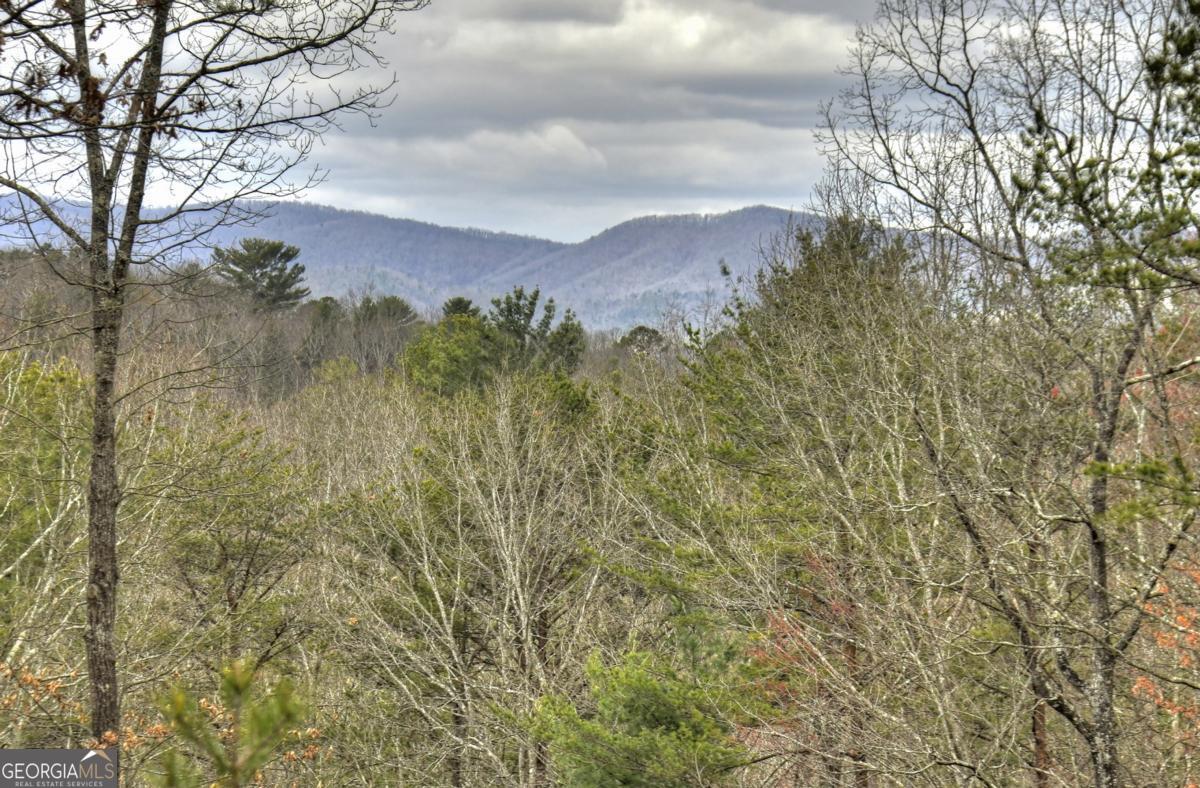 Ellijay, Georgia, 30540, United States, 5 Bedrooms Bedrooms, ,4 BathroomsBathrooms,Residential,Active,1954017