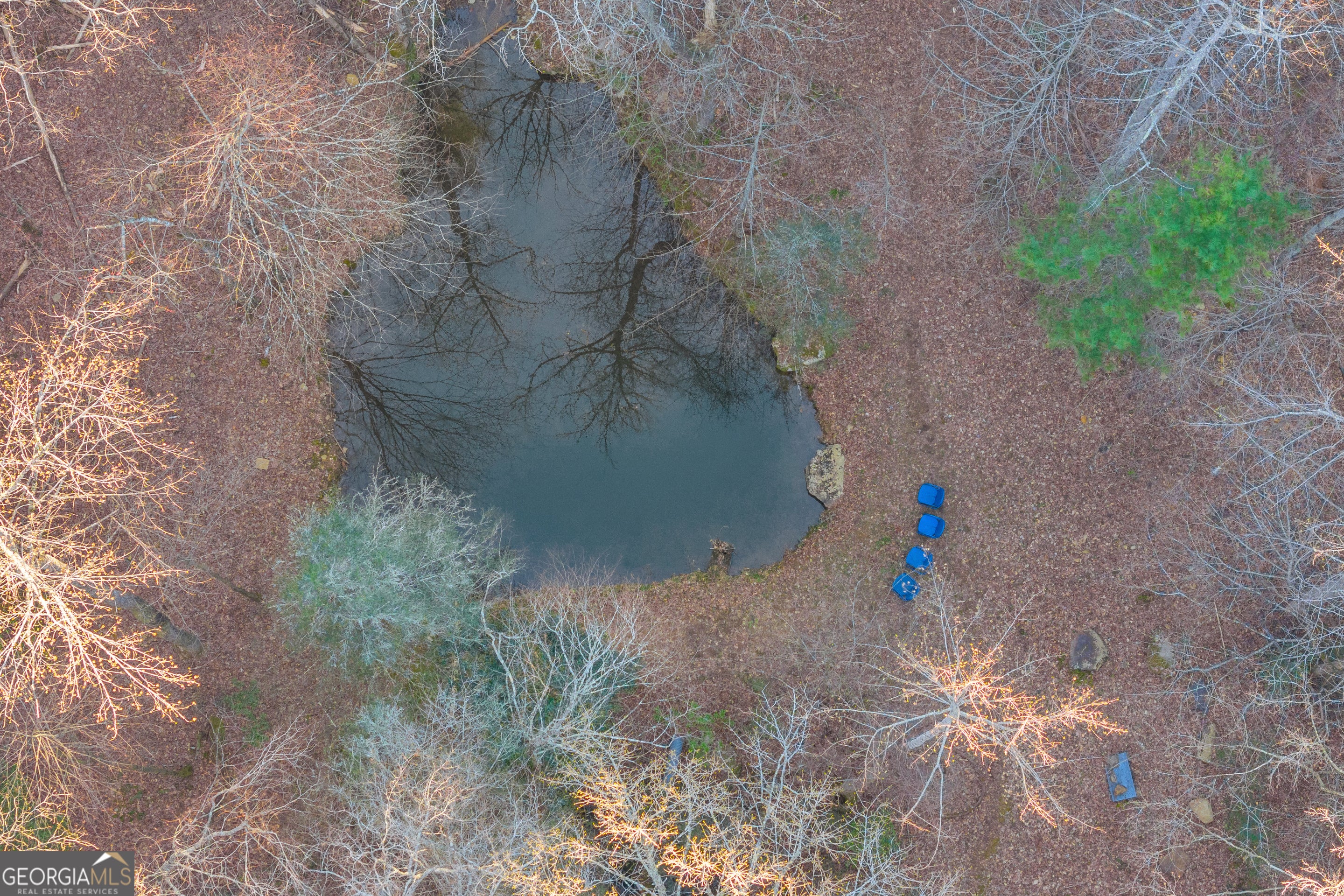 Cherry Log, Georgia, 30522, United States, 4 Bedrooms Bedrooms, ,5 BathroomsBathrooms,Residential,Active,1960146