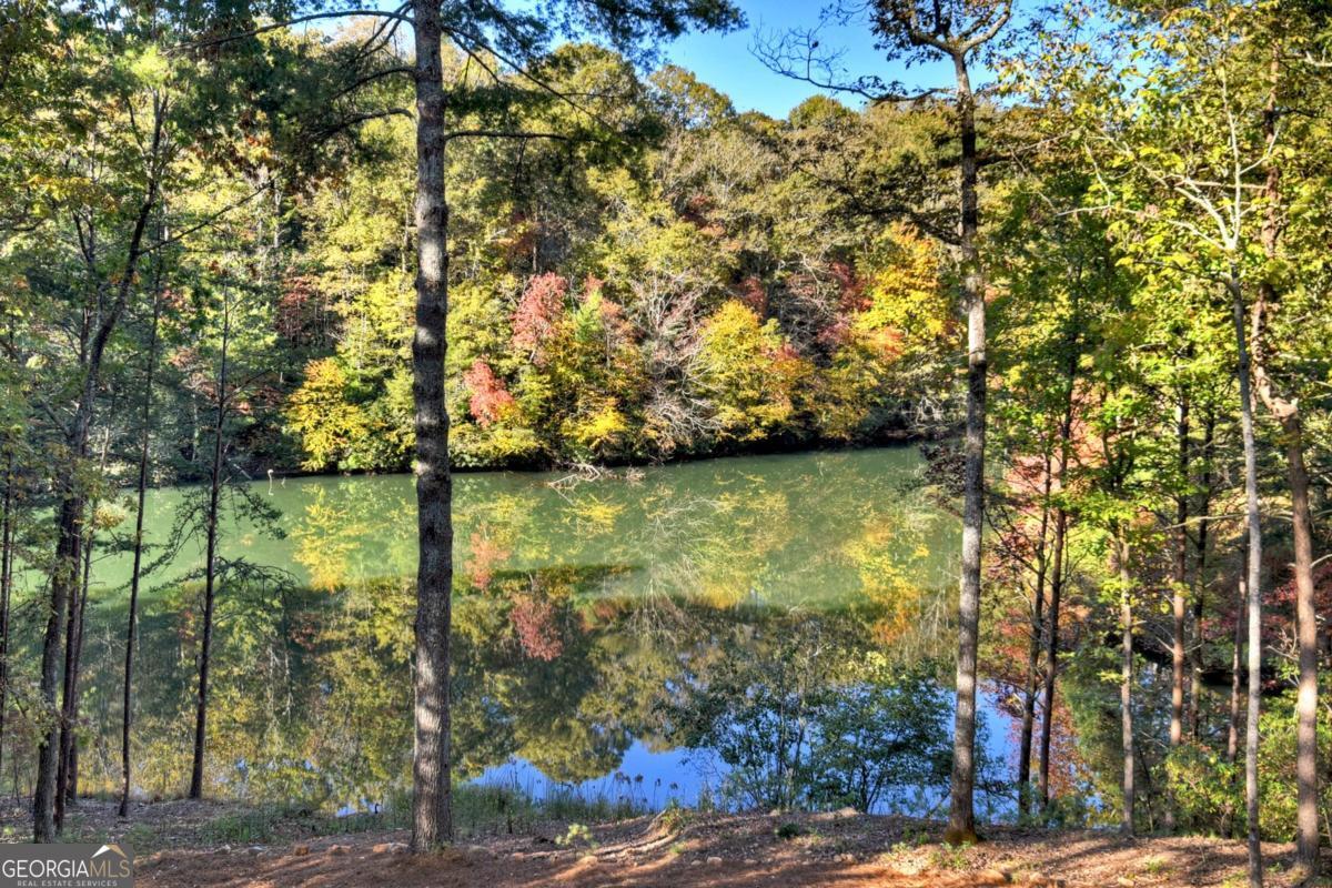 Ellijay, Georgia, 30540, United States, 4 Bedrooms Bedrooms, ,3 BathroomsBathrooms,Residential,Active,1971791