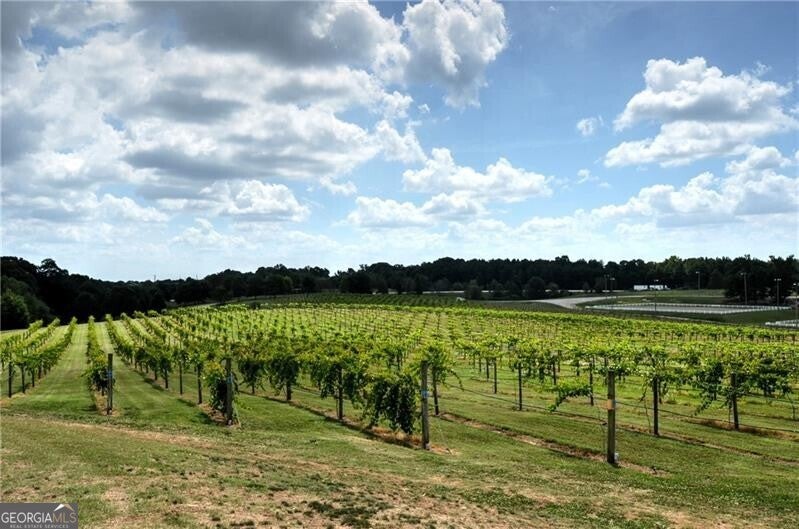 Braselton, Georgia, 30517, United States, 5 Bedrooms Bedrooms, ,5 BathroomsBathrooms,Residential,Active,1912809