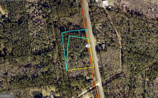 V/L CORNELIA ARMSTRONG TRACT 1 & 2, WOODBINE, GA 31569 - Image 1