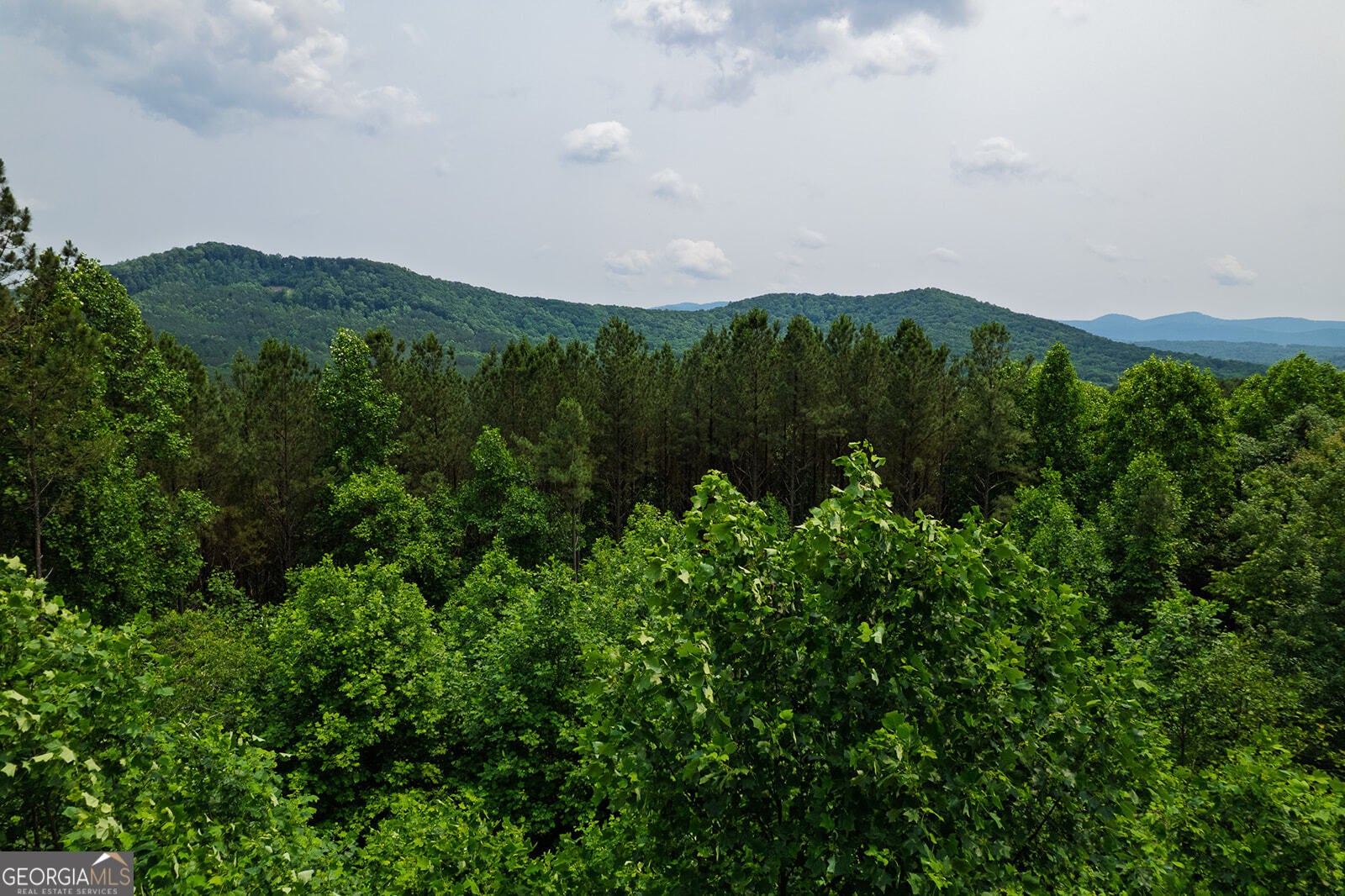 Ellijay, Georgia, 30536, United States, 6 Bedrooms Bedrooms, ,5 BathroomsBathrooms,Residential,Active,1936401