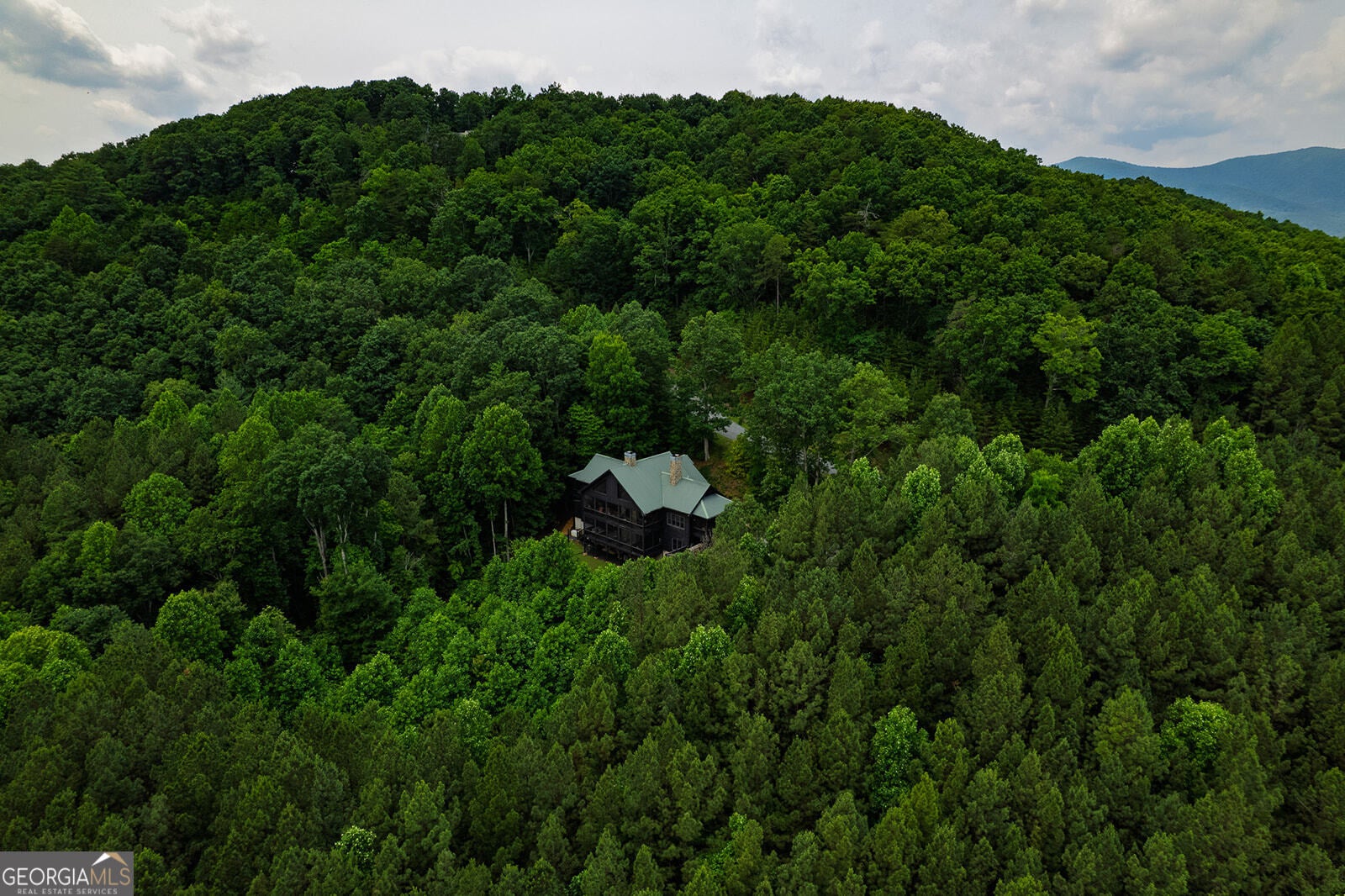 Ellijay, Georgia, 30536, United States, 6 Bedrooms Bedrooms, ,5 BathroomsBathrooms,Residential,Active,1936401