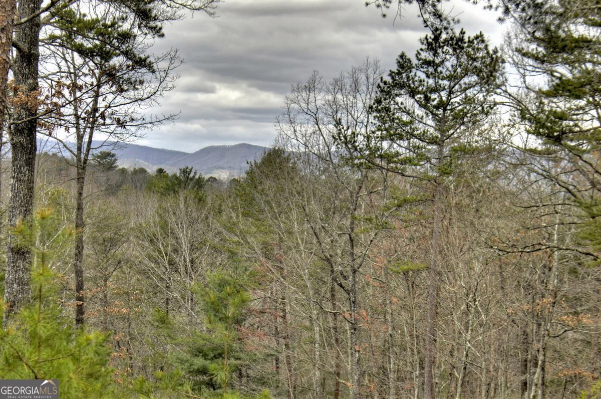 Ellijay, Georgia, 30540, United States, 5 Bedrooms Bedrooms, ,4 BathroomsBathrooms,Residential,Active,1954017