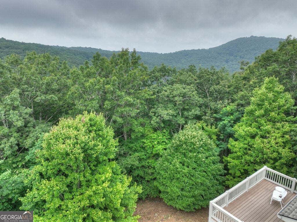 Ellijay, Georgia, 30536, United States, ,7 BathroomsBathrooms,Residential,Active,1790928