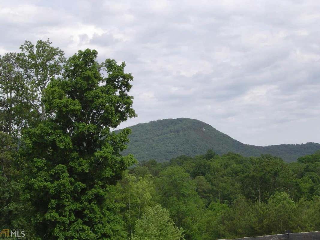 0 BOOGER BRANCH SPUR # 9642, CRANDALL, GA 30711, photo 1 of 18