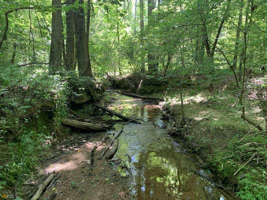 324.51 AC PEACE LANE, FRANKLIN, GA 30217, photo 3 of 11