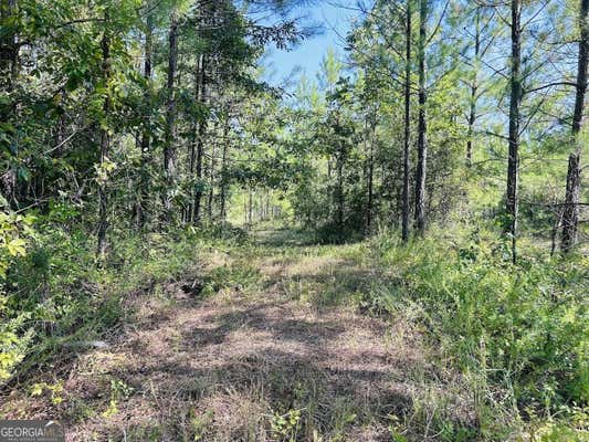 0 COUNTY ROAD 235 # TRACT 2, LEESBURG, AL 35983 - Image 1