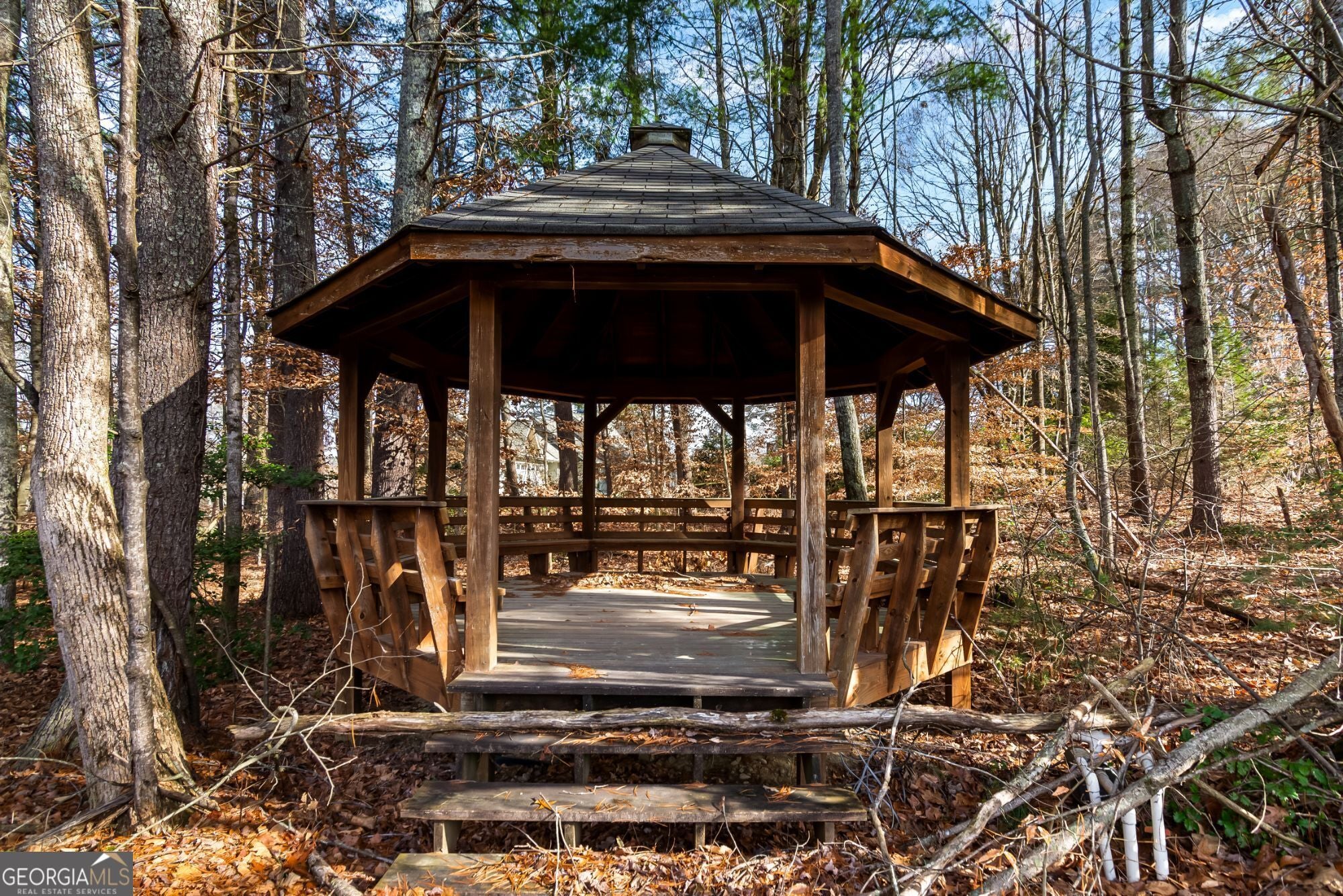 Blairsville, Georgia, 30512, United States, ,4 BathroomsBathrooms,Residential,Active,1704083