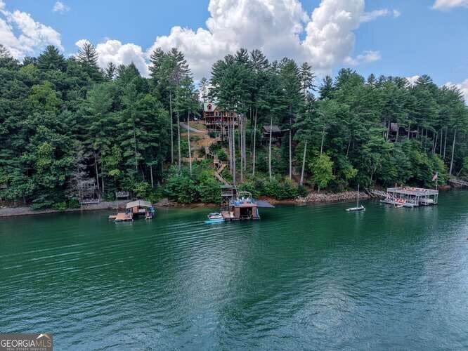 Blue Ridge, Georgia, 30513, United States, 5 Bedrooms Bedrooms, ,4 BathroomsBathrooms,Residential,Active,1922342