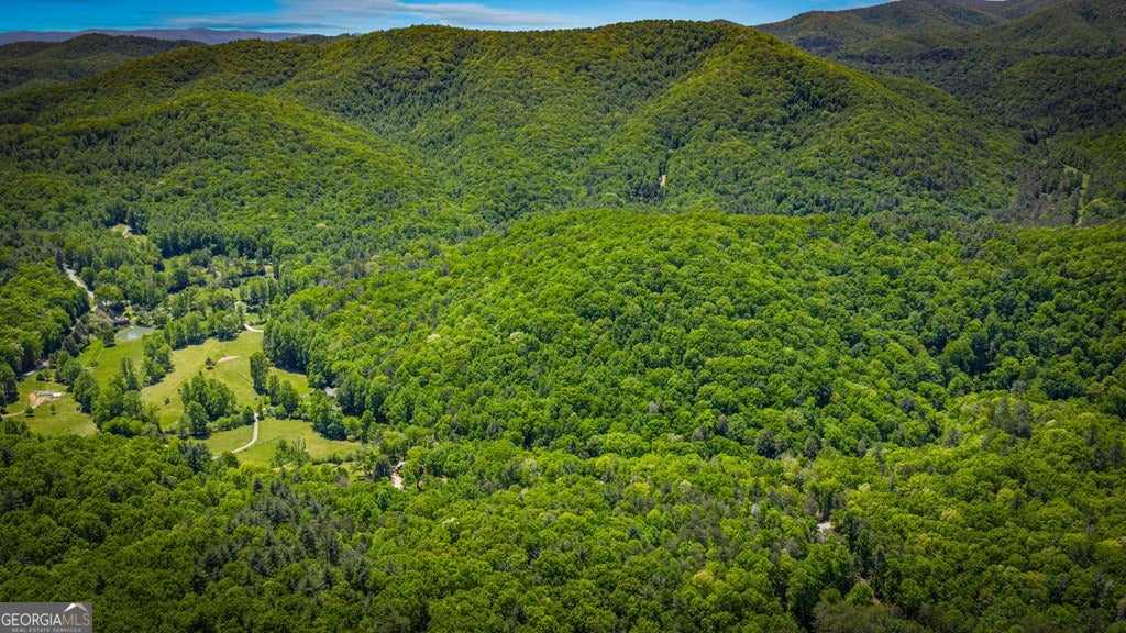 Cherry Log, Georgia, 30522, United States, 5 Bedrooms Bedrooms, ,5 BathroomsBathrooms,Residential,Active,2045694