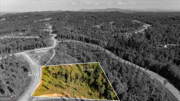 LOT 131 RIVER REACH LANE, TALKING ROCK, GA 30175 - Image 1