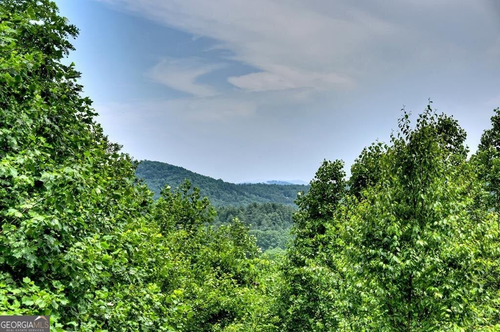 Blue Ridge, Georgia, 30513, United States, 4 Bedrooms Bedrooms, ,4 BathroomsBathrooms,Residential,Active,1877829