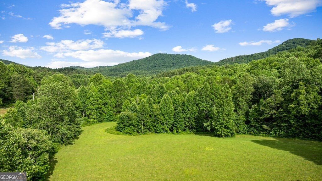 Blue Ridge, Georgia, 30513, United States, 3 Bedrooms Bedrooms, ,4 BathroomsBathrooms,Residential,Active,2008014