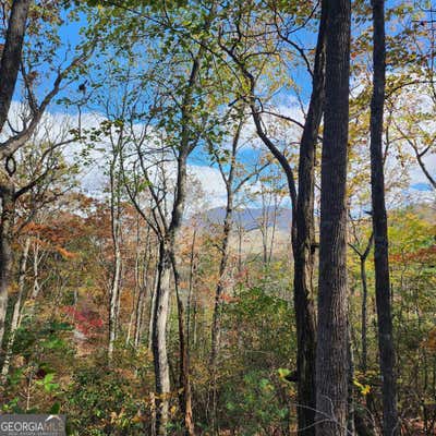 LOT 10 ENCHANTMENT WAY, HIAWASSEE, GA 30546 - Image 1