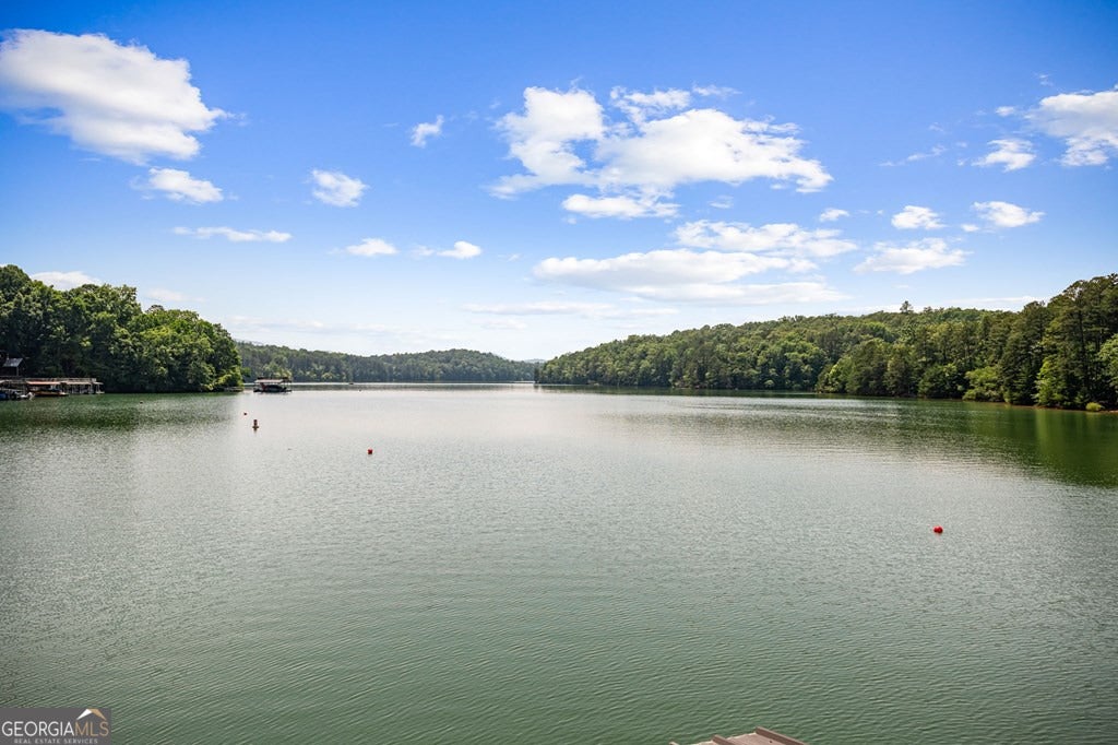 Morganton, Georgia, 30560, United States, 4 Bedrooms Bedrooms, ,3 BathroomsBathrooms,Residential,Pending,1859386