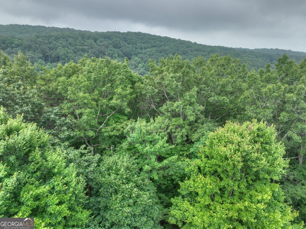 Ellijay, Georgia, 30536, United States, ,7 BathroomsBathrooms,Residential,Active,1790928