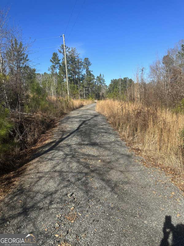 0 WINTER ROAD, GREENVILLE, GA 30222, photo 1 of 7