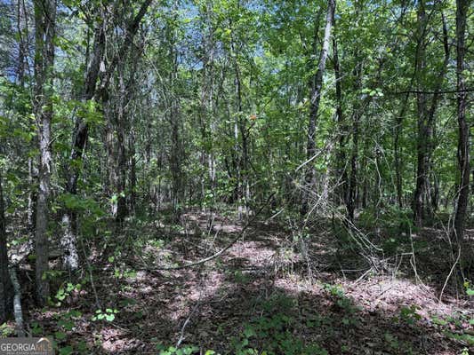 0 HWY 17 24.19 ACRES, EASTANOLLEE, GA 30538 - Image 1