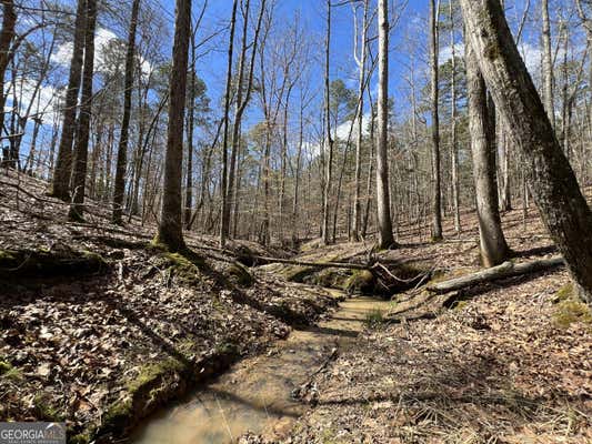 TRACT B3 HULMES CHAPEL ROAD, ELBERTON, GA 30635 - Image 1