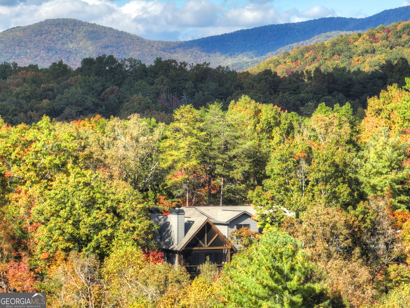 Ellijay, Georgia, 30540, United States, 5 Bedrooms Bedrooms, ,4 BathroomsBathrooms,Residential,Active,1954017