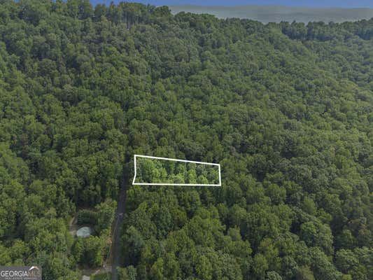 M100 SKYVIEW DRIVE, ELLIJAY, GA 30536 - Image 1