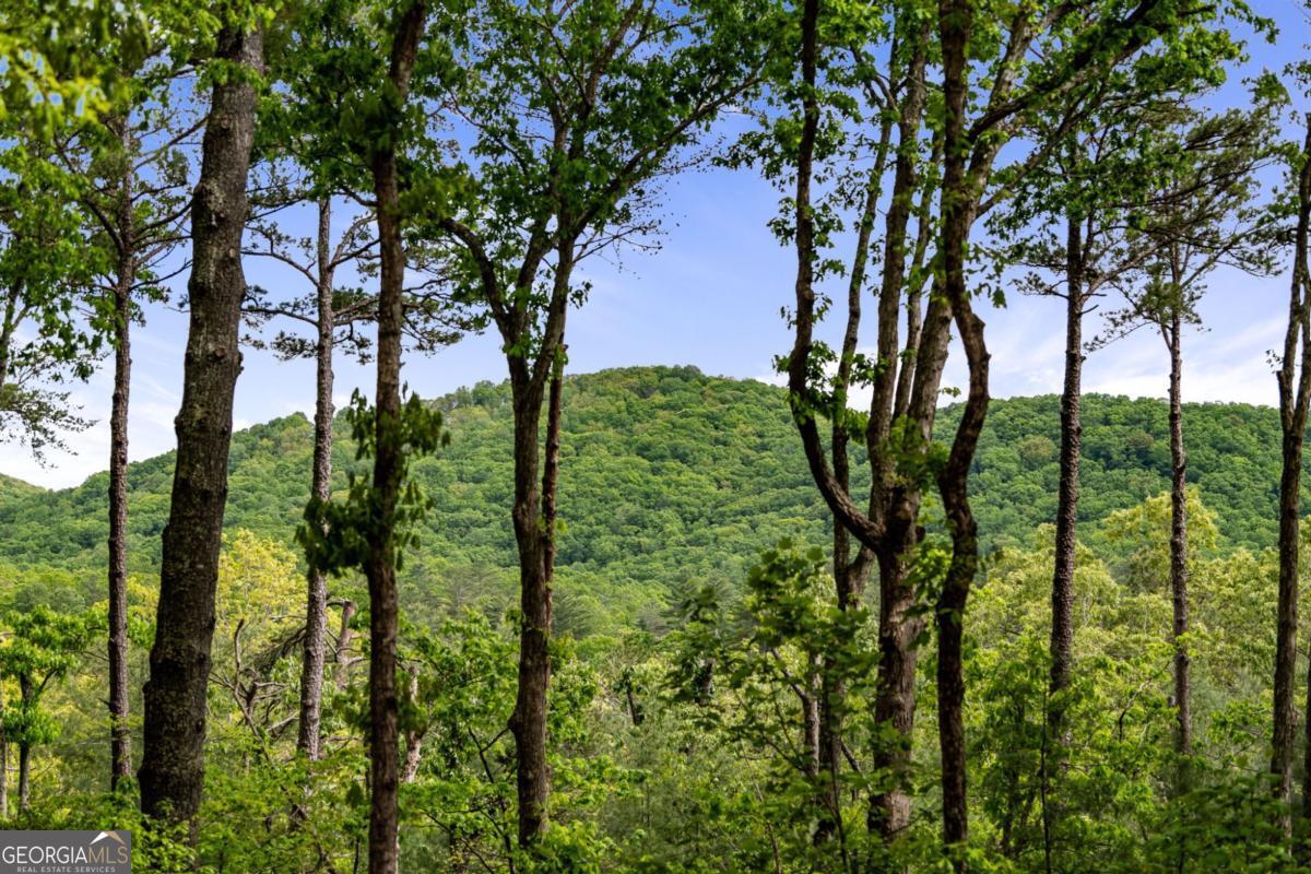 Ellijay, Georgia, 30536, United States, ,4 BathroomsBathrooms,Residential,Active,1806919