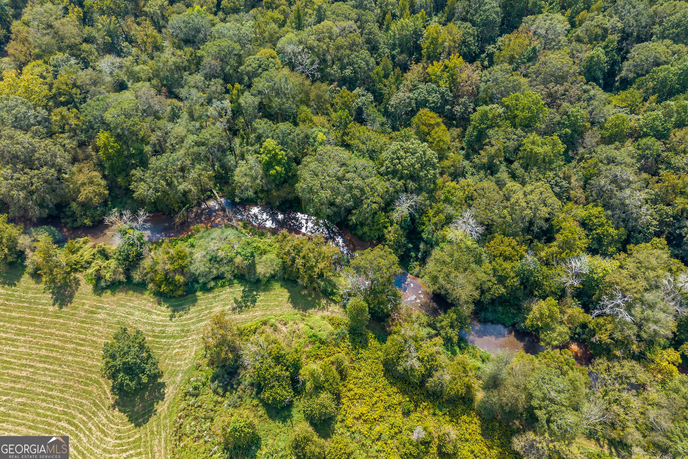 Commerce, Georgia, 30529, United States, 4 Bedrooms Bedrooms, ,3 BathroomsBathrooms,Residential,Active,1963280