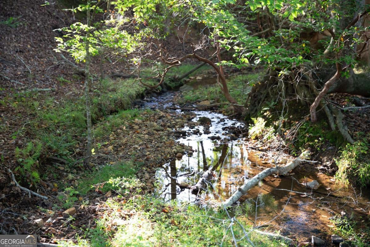 Ball Ground, Georgia, 30107, United States, 5 Bedrooms Bedrooms, ,6 BathroomsBathrooms,Residential,Active,1961923