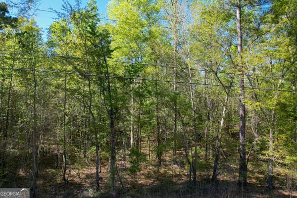 LOT 11 OLD COPELAN ROAD, EATONTON, GA 31024, photo 2 of 9