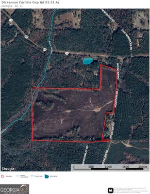 83.51 AC CARLISLE GAP RD, WAVERLY HALL, GA 31831 - Image 1