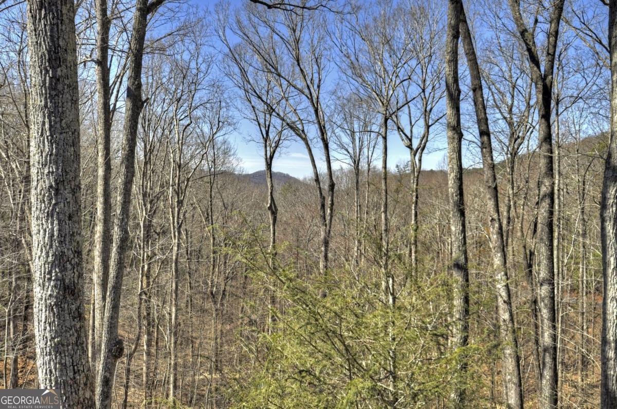 Ellijay, Georgia, 30536, United States, 5 Bedrooms Bedrooms, ,6 BathroomsBathrooms,Residential,Active,1953697