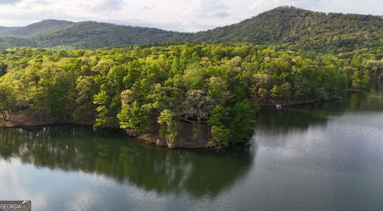 Big Canoe, Georgia, 30143, United States, 4 Bedrooms Bedrooms, ,4 BathroomsBathrooms,Residential,Active,1969757