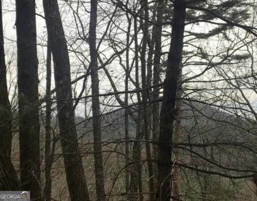 4.25 ACRES MULE BRANCH ROAD, HELEN, GA 30545 - Image 1