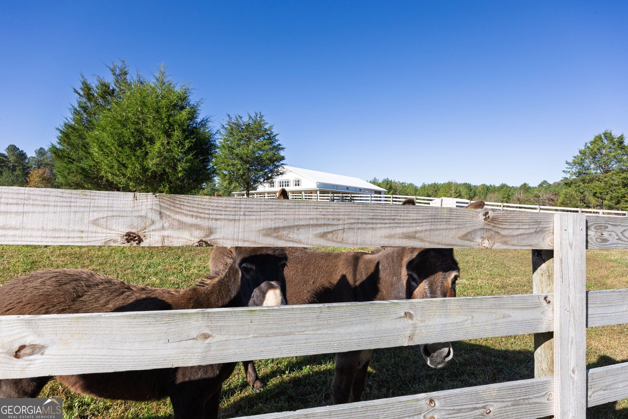 Rydal, Georgia, 30171, United States, 5 Bedrooms Bedrooms, ,5 BathroomsBathrooms,Residential,Active,1987251
