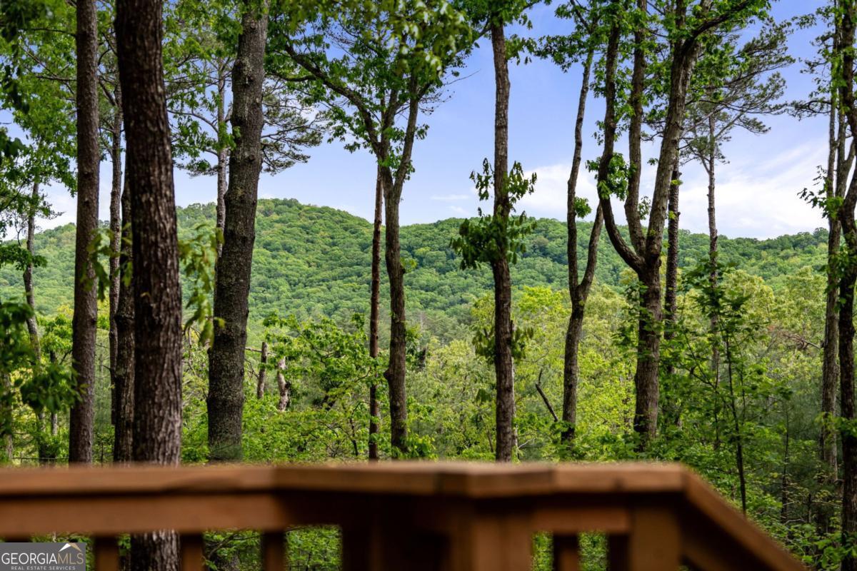 Ellijay, Georgia, 30536, United States, ,4 BathroomsBathrooms,Residential,Active,1806919