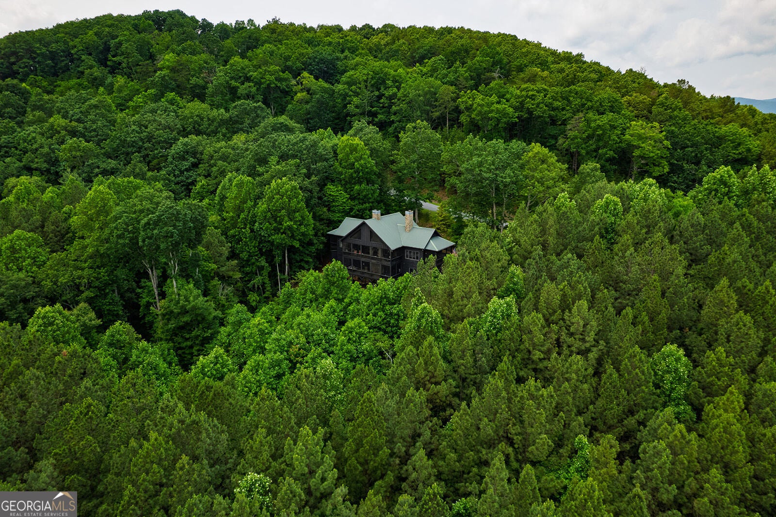 Ellijay, Georgia, 30536, United States, 6 Bedrooms Bedrooms, ,5 BathroomsBathrooms,Residential,Active,1936401